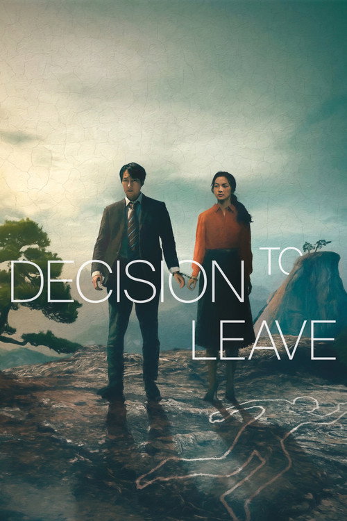 Poster for Decision to Leave (2022)